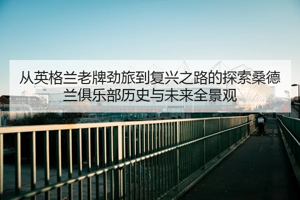 cong-ying-ge-lan-lao-pai-jing-lv-dao-fu-xing-zhi-lu-de-tan-suo-sang-de-lan-ju-le-bu-li-shi-yu-wei-lai-quan-jing-guan-3-256.jpg