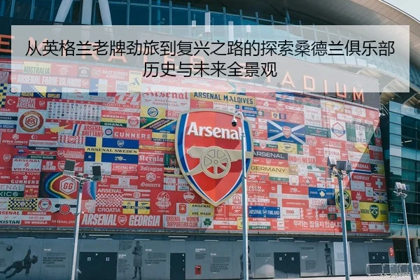 从英格兰老牌劲旅到复兴之路的探索桑德兰俱乐部历史与未来全景观