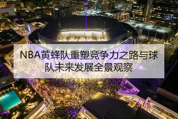 NBA黄蜂队重塑竞争力之路与球队未来发展全景观察